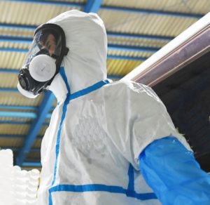 コロナウイルス感染症COVID-19と戦う保健所への協力 －看護師免許を持つ大学教職員にできること－  菅原 美樹/本田 光