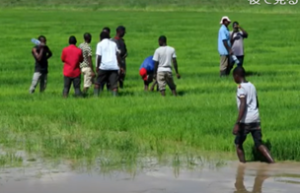 伝統技術を生かした自然循環・エコシステム作り(2): 造船技術の利活用によるソーシャルインパクトの追求 - 星田剛